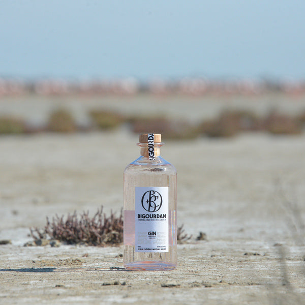 Bigourdan Dry Gin