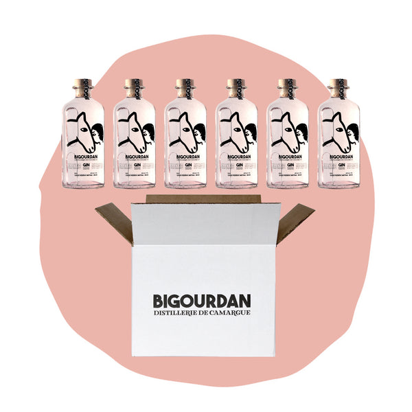Bigourdan Dry Gin